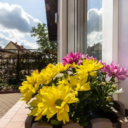 Schwarz Appartement Gademow